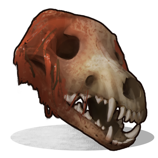 Череп волка (Wolf Skull)