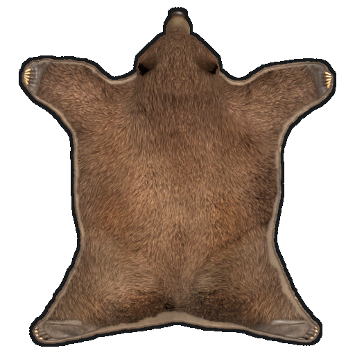 Ковёр из медвежьей шкуры (Rug Bear Skin)